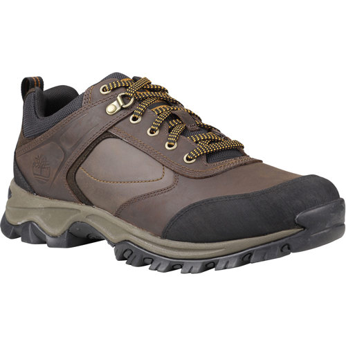Timberland Mt.Maddsen Low Hiking Boots for Men